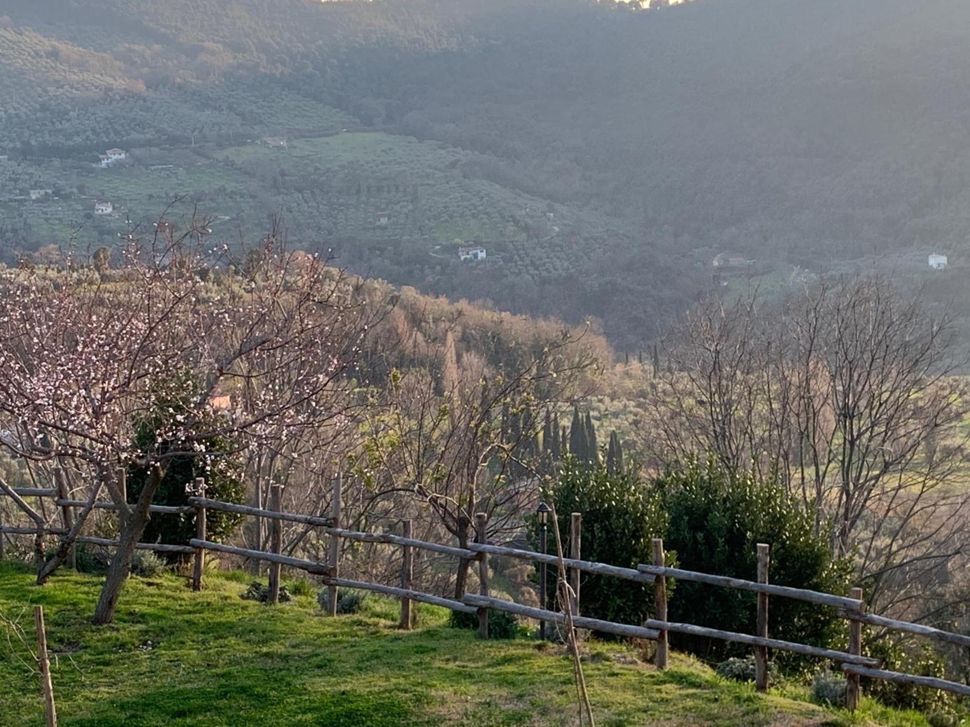 Agriturismo La Terrazza Su Farfa Castelnuovo di Farfa Exterior photo